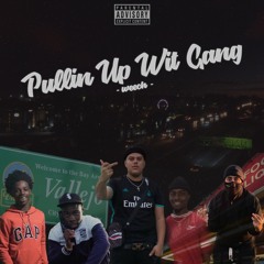 Pullin Up Wit Gang- (Weech, Bandlife Birdy , BigMoney Quezz, Benji,TeeKat)