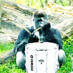 Snare Drum