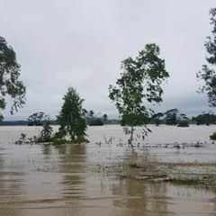 စိုက္ပ်ိဳးေရး၊ ေမြးျမဴေရးနဲ႔ ဆည္ေျမာင္း၀န္ၾကီးဌာန ဒုတိယအျမဲတန္းအတြင္း၀န္းဦးမ်ိဳးတင့္ထြန္း