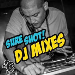 DJ MIXES 2 DOWNLOAD, DUDE!