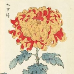 HM Flora Instrumental