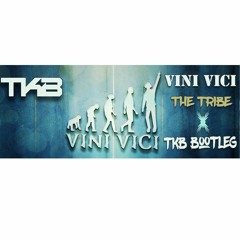 TKB Bootleg - The Tribe -  Vini Vici