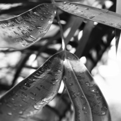 Human Nature / Michael Jackson Cover