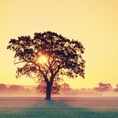 A New Sunrise