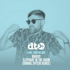 Knight - Elephant In The Room (Ronnie Spiteri Remix)
