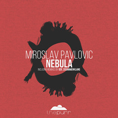 PREMIERE: Miroslav Pavlovic - Nebula (DSF Remix) [The Purr Music]