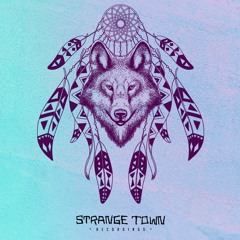 Bryan Wolf Ear & Philip James De Vries - Dreamcatcher (Original Mix)