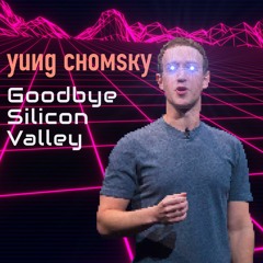 Goodbye Silicon Valley