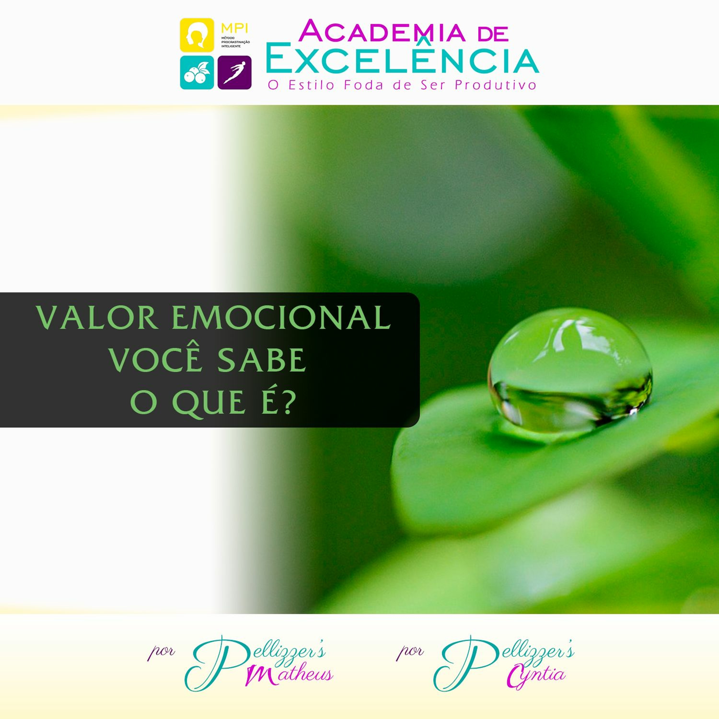 Academia de Excelência
