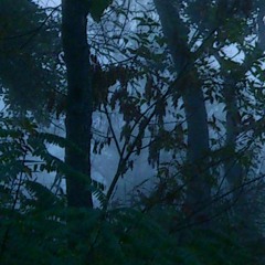 Ambient/Atmosphere