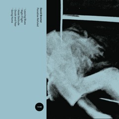 Exclusive Premiere: David Bremer - Hotel Solitude