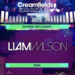 Liam Wilson - Live At Creamfields 2018