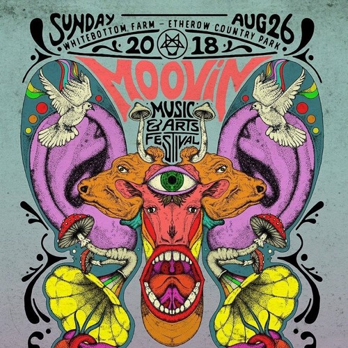 Moovin festival Boom box vinyl set