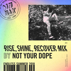 Dim Mak's Endless Summer 2018 // Rise, Shine, Recover Mix by Not Your Dope