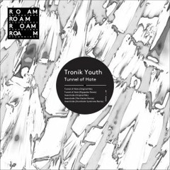 Tronik Youth - Tunnel Of Hate (Rigopolar Remix)128kb ROAM RECORDINGS