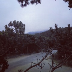 Why (Prod. Timeline)