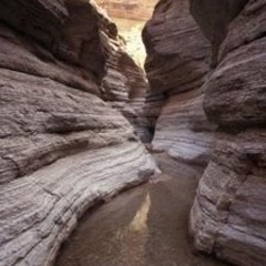 The Narrow Way ("The stars, so far" reiussued)