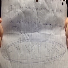 I'm Not Sorry (The Runaway Song)