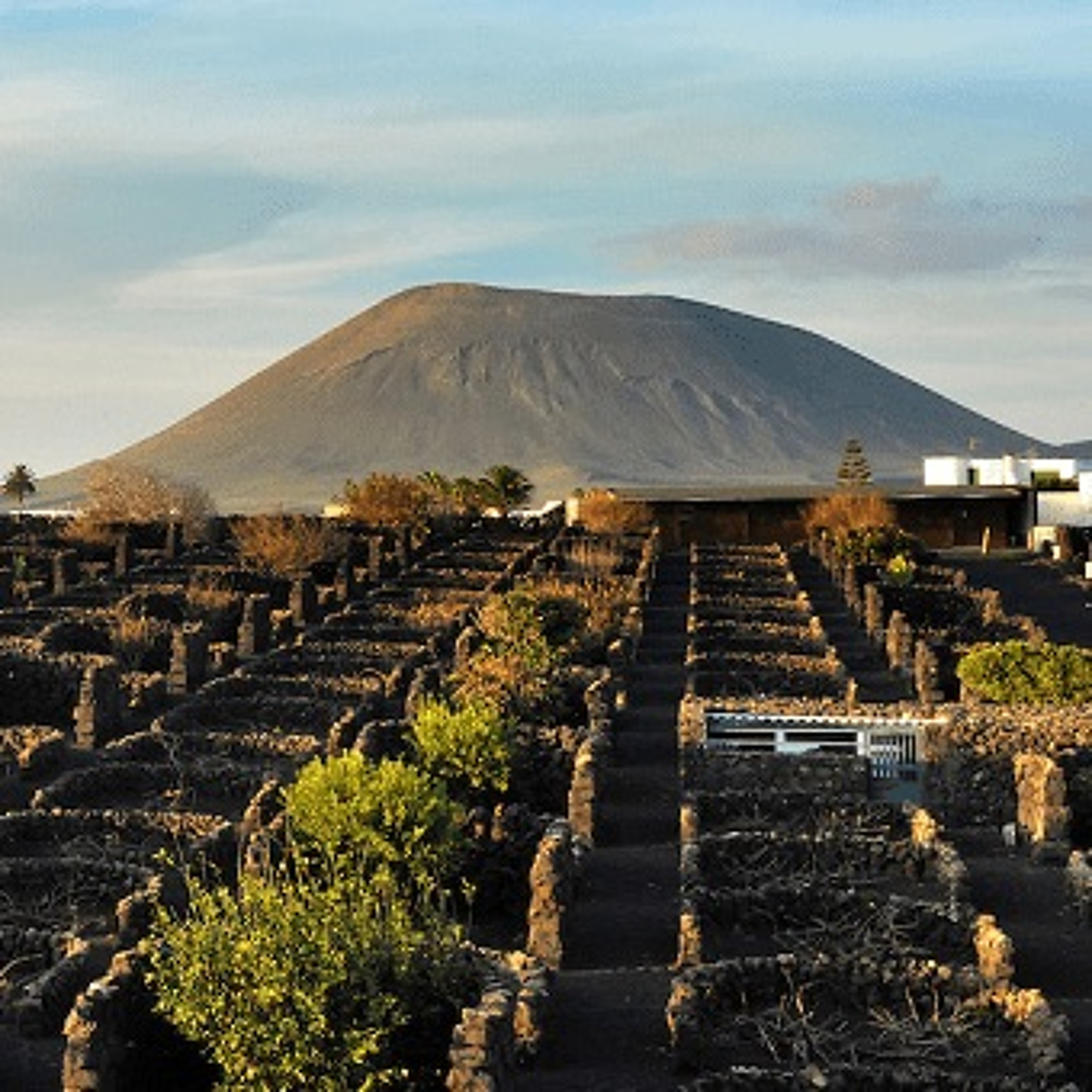 Episode 42-Volcanic Wine, Jammy Wine, Wine With Food, Sparkling Cocktails