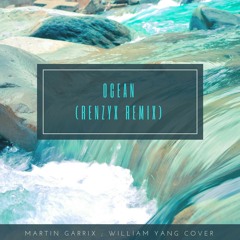 Martin Garrix - Ocean [William Yang cover] (Renzyx remix); Not released