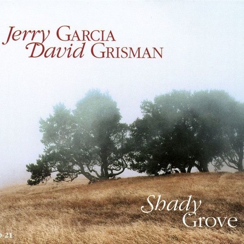Stream Jerry Garcia and David Grisman Whiskey In The Jar (Tom Hamlin