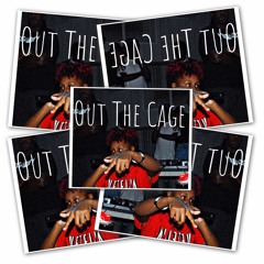 Out The Cage