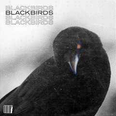 3 roses - BLACKBIRDS (Kulkid Remix)