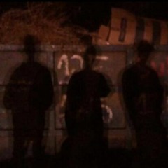 Demo #5