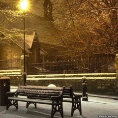 Night Walk In The Snow