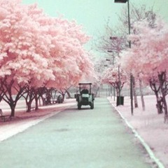 Dream Life(少女初心)