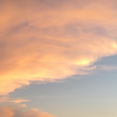 CHILI TEA, SPICY COFFE