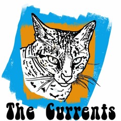 The Currents - Bummer