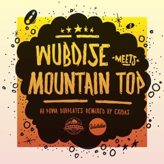 WUBDISE meets MOUNTAIN TOP - Remixes, Dubplates & Specials