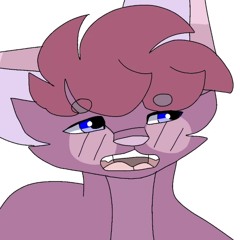 Jenny Meme
