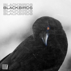BLACKBIRDS PT. 2