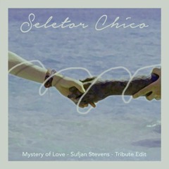 Sufjan Stevens - Mystery of Love (Seletor Chico Remix)