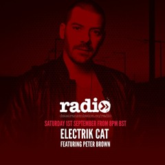 CatCast 74 With Electrik Cat Ft. Peter Brown