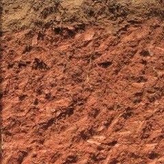 XXXTENTACION - HIT THE DIRT (RARE)