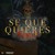 Artwork for SE QUE QUIERES REMIX - DE LA GHETTO FT BRYTIAGO JON Z ALMIGHTY