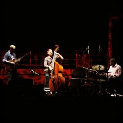 Kurt Rosenwinkel Standards Trio (Guitar Boost EQ)  - Red Sea Jazz Festival