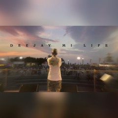左流 - Deejay Mi Life(ORANGE REMIX)(track by.ヨウキナヒツジ)