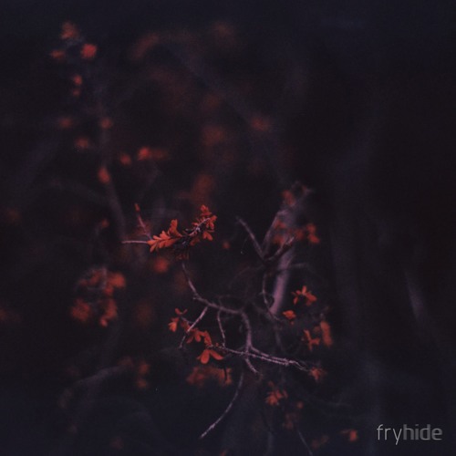 HOSH - Unconventional