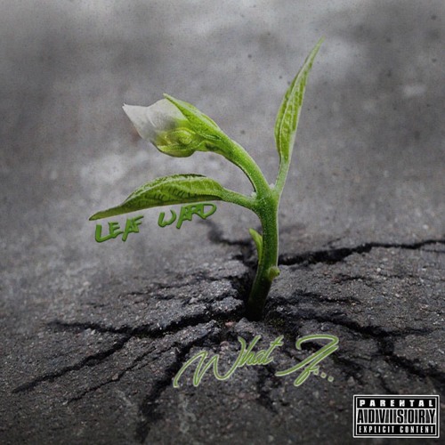 What If ( Prod. by Mae5tro )