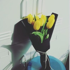 Tulipa Gesneriana ( feat. 박정인 )