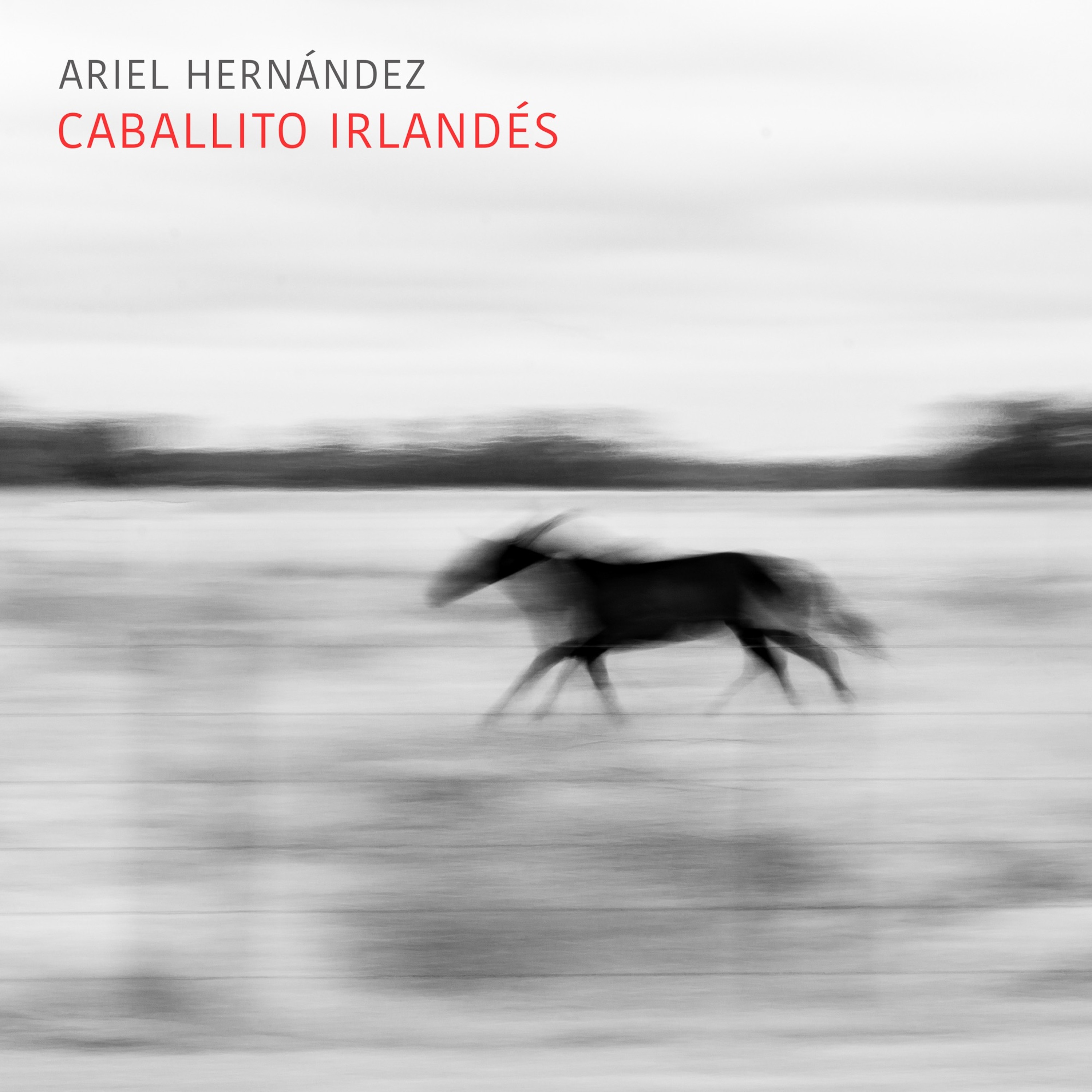 Ariel Hernández