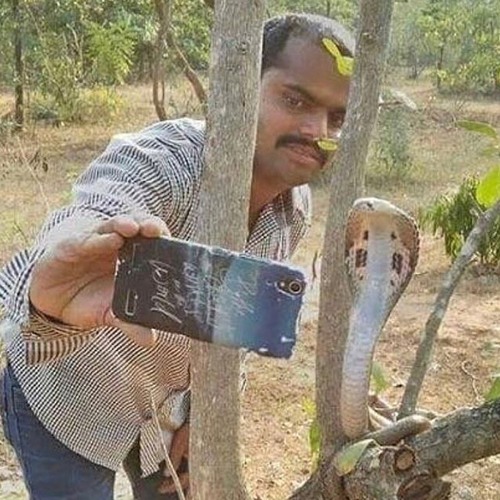 im making rainforest jugg from now on