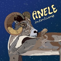 Intentions 07 // Anele