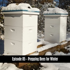 D&B Show Podcast Episode 85 - Prepping Bees For Winter