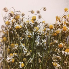 Tyler, the Creator feat. Kali Uchis - See You Again