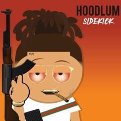 HOODLUM - SIDEKICK (Prod. by J Allan & 410TheLoop )